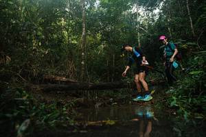 BIB: 
                            <button type="button" onclick="openModal(22520190)" class="btn btn-primary btn-sm float-right btn-popup" data-toggle="modal" data-target=".modal-high-quality">
                        <i class="fas fa-shopping-cart"></i> Add to Cart
                    </button>
                                            <button type="button" onclick="isThisMe(22520190, true)" class="btn btn-success btn-sm float-right btn-popup btn-isme hidden" data-toggle="tooltip" data-placement="bottom" title="นี่คือรูปของคุณใช่ไหม คลิกที่นี่เพื่อเอาเข้าอัลบั้ม">
                        <i class="fas fa-plus"></i> Add to album
                    </button>
                    <button type="button" onclick="isThisMe(22520190, false)" class="btn btn-warning btn-sm float-right btn-popup btn-isnotme hidden">
                        <i class="fas fa-ban"></i> Remove from album
                    </button>